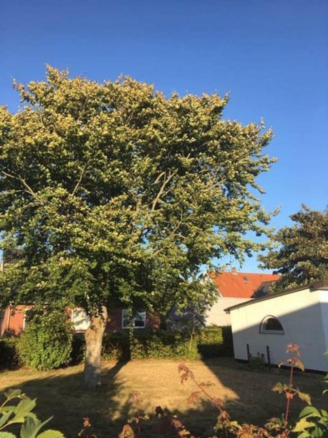 Kleines Bauernhaus Hotel Mogeltonder Esterno foto